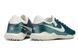 Футбольные сороконожки Nike Tiempo Legend X TF многошиповки 39-45 FO-898 фото 5