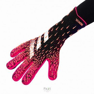 Воротарські Рукавички Adidas Goalkeeper Gloves Predator 1200 фото
