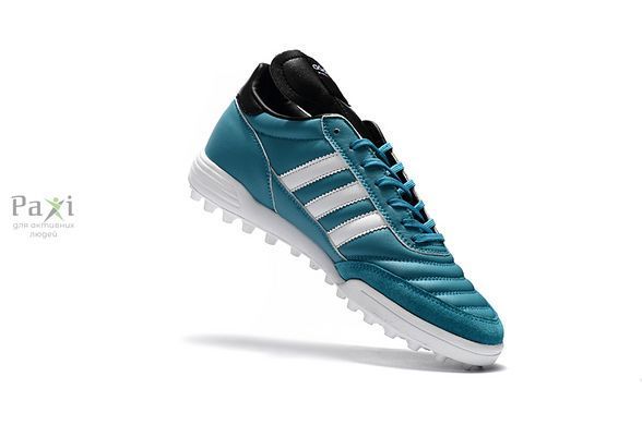 Сороконожки Adidas Copa Mundial Team TF 925 фото