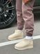 Уггі Жіночі UGG WT0344 UG600-4 p.38 24,5 ST-3958192s3 фото 4