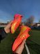 Бутси футбольні дитячі Nike Air Zoom Mercurial Vapor 16 Elite FG підліткове взуття Арт.1403 p.36 1403 фото 6