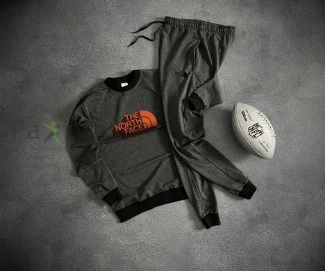 Cпортивный костюм с кофтой худи Весна/осень TNF S BR-A2037 фото