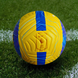 Футбольний м'яч Nike Premier League Flight (Синьо-жовтий) (Репліка) 132 фото 3